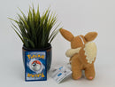 Pokemon Plush - Eevee - Japanese Import - Banpresto Collectable