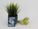 Pokemon Plush - Sewaddle- Japanese Import - Banpresto Collectable
