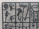 Warhammer Age of Sigmar: Sons of Behemat Mancrusher Gargant (SPRUE0114)