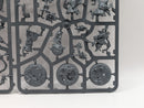 Warhammer Age of Sigmar: Gloomspite Gitz Zarbags Gitz (SPRUE0140)