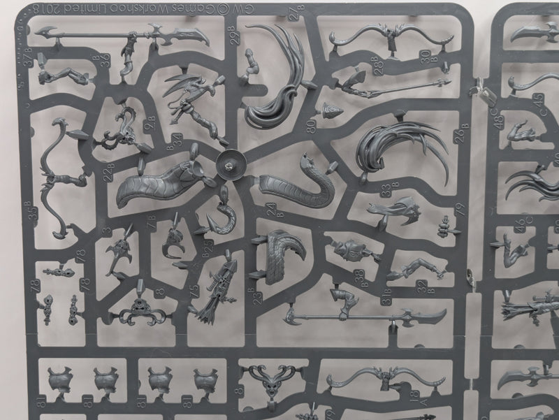 Warhammer Age of Sigmar: Daughters of Khaine Melusai Blood Stalkers (SPRUE0147)