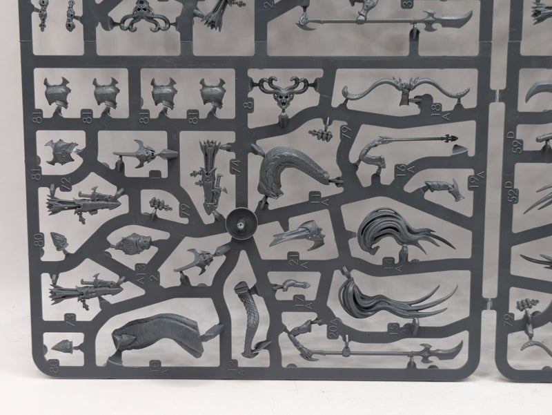 Warhammer Age of Sigmar: Daughters of Khaine Melusai Blood Stalkers (SPRUE0147)