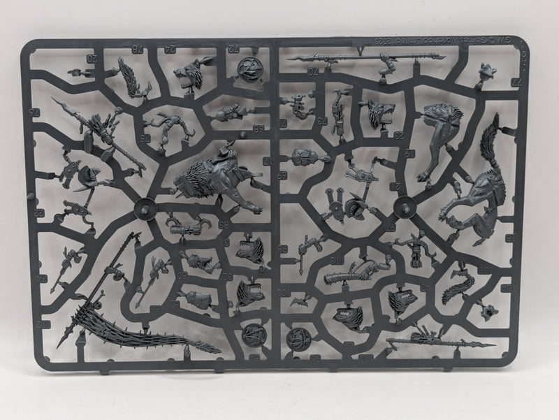 Warhammer Age of Sigmar: Gloomspite Gitz Snarlfang Riders (SPRUE0007)