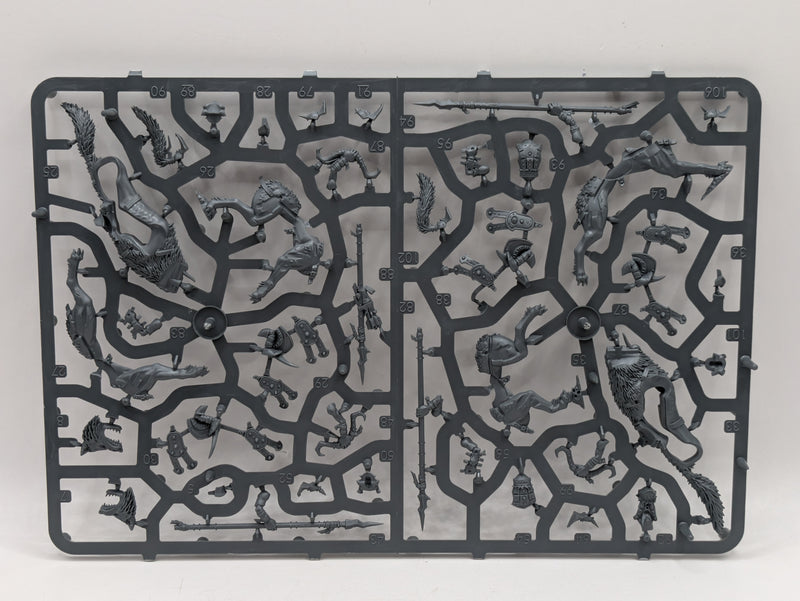 Warhammer Age of Sigmar: Gloomspite Gitz Snarlfang Riders (SPRUE0007)