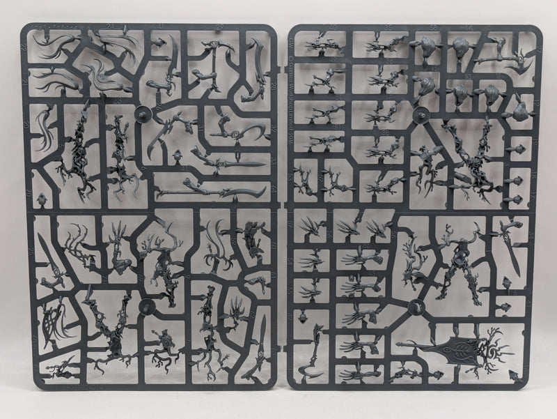 Warhammer Age of Sigmar: Sylvaneth Tree Revenants (SPRUE0066)