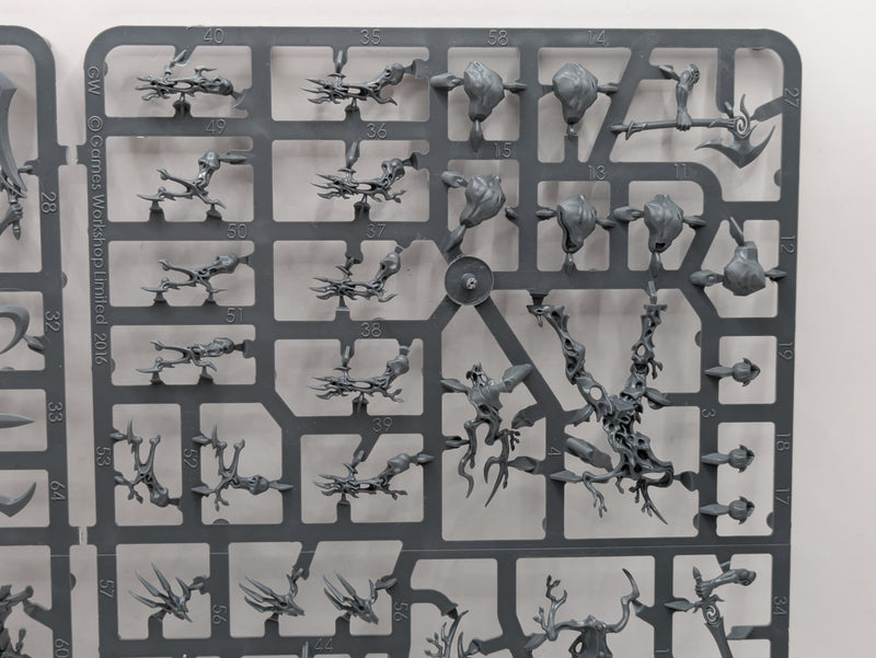 Warhammer Age of Sigmar: Sylvaneth Tree Revenants (SPRUE0066)