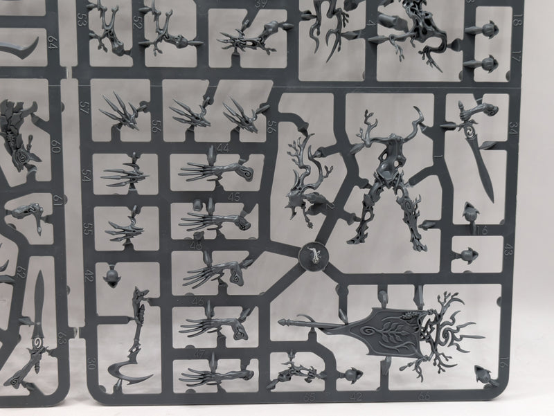 Warhammer Age of Sigmar: Sylvaneth Tree Revenants (SPRUE0066)