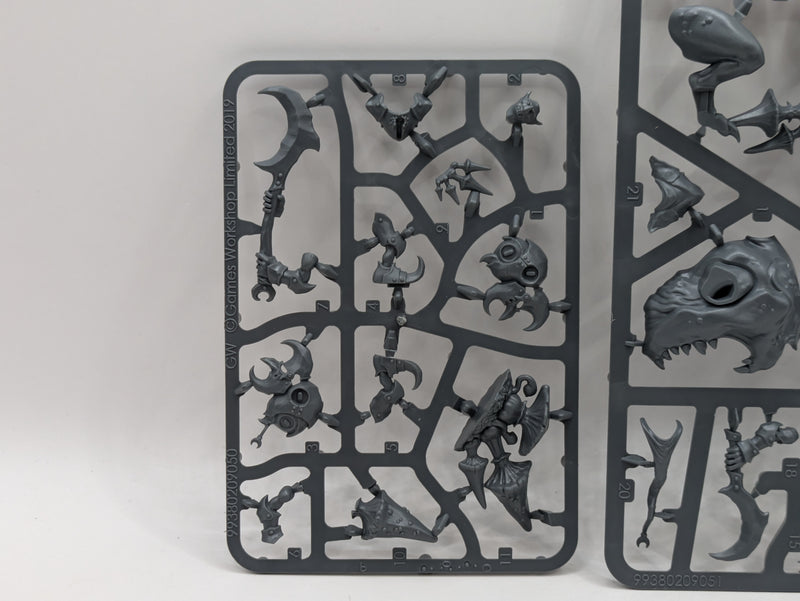 Warhammer Age of Sigmar: Gloomspite Gitz Loonboss and Loonboss and Giant Cave Squig (SPRUE0271)