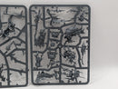Warhammer Age of Sigmar: Orruk Warclans Killaboss and Swampcalla Shaman (SPRUE0299)