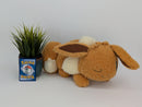 Pokemon Plush - Eevee - Japanese Import - Banpresto Collectable