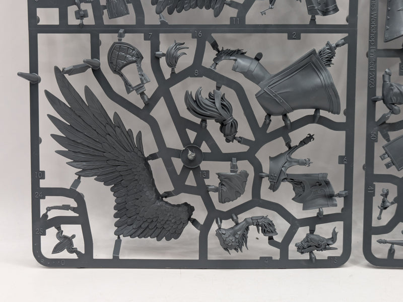 Warhammer The Old World: Kingdom of Bretonnia Lord on Royal Pegasus (SPRUE0182)