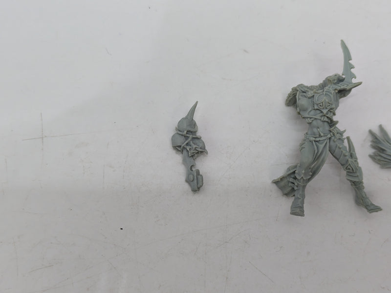 Warhammer 40k: Drukhari Dark Eldar Finecast Succubus OOP (AJ080)