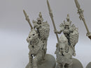 Warhammer Age of Sigmar: Ossiarch Bonereapers Kavalos Deathriders (AR038)