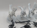 Warhammer Age of Sigmar: Seraphon Raptadon Hunters/Chargers (BF060)