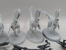Warhammer Age of Sigmar: Seraphon Raptadon Hunters/Chargers (BF060)