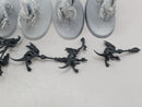 Warhammer Age of Sigmar: Seraphon Raptadon Hunters/Chargers (BF060)