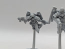 Warhammer 40k: Adepta Sororitas Seraphim Squad  (AE091)