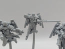 Warhammer 40k: Adepta Sororitas Seraphim Squad  (AE091)
