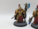 Warhammer 40k: Adeptus Custodes Wardens (BA029)