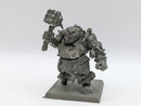 Warhammer The Old World: Ogre Kingdom Metal Butcher (AI045)