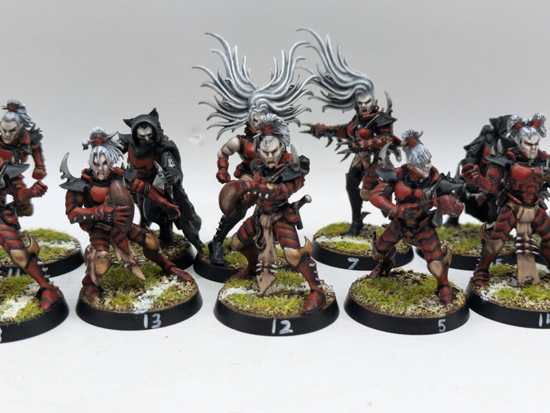 Warhammer Blood Bowl: Converted Dark Elf Team - Well Painted (BC088)