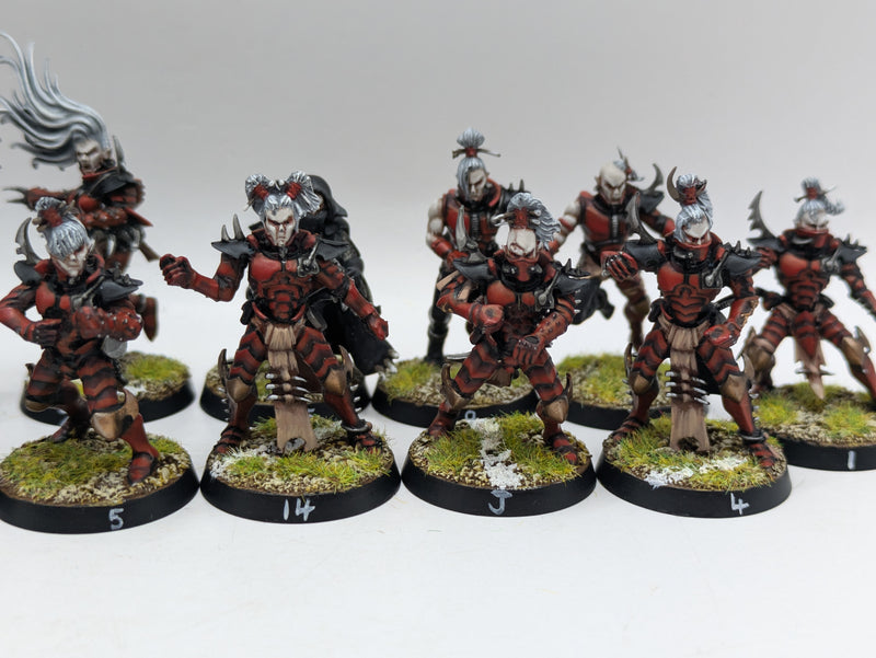 Warhammer Blood Bowl: Converted Dark Elf Team - Well Painted (BC088)