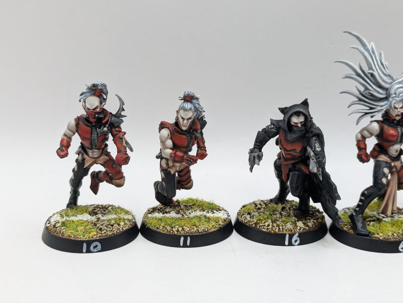 Warhammer Blood Bowl: Converted Dark Elf Team - Well Painted (BC088)