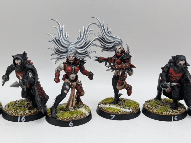 Warhammer Blood Bowl: Converted Dark Elf Team - Well Painted (BC088)