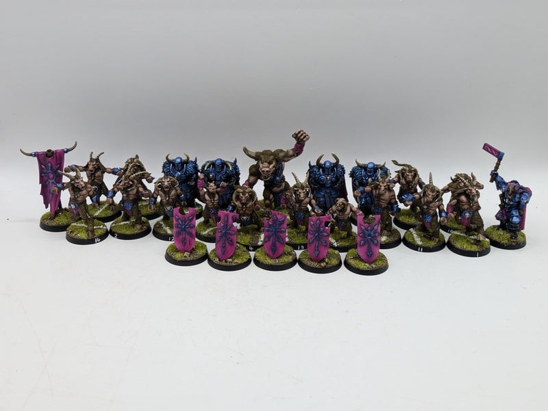 Warhammer Blood Bowl: Converted Chaos Chosen Team - Well Painted (AI109)