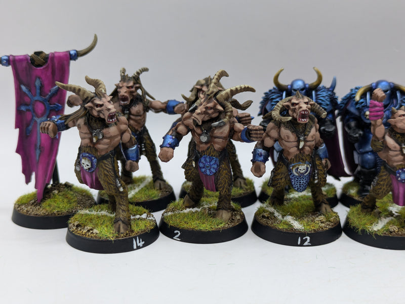Warhammer Blood Bowl: Converted Chaos Chosen Team - Well Painted (AI109)