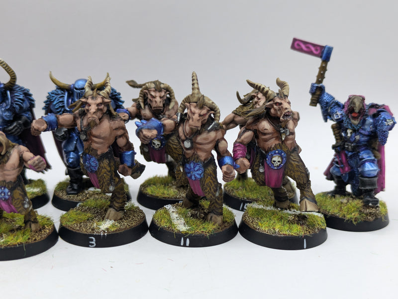 Warhammer Blood Bowl: Converted Chaos Chosen Team - Well Painted (AI109)