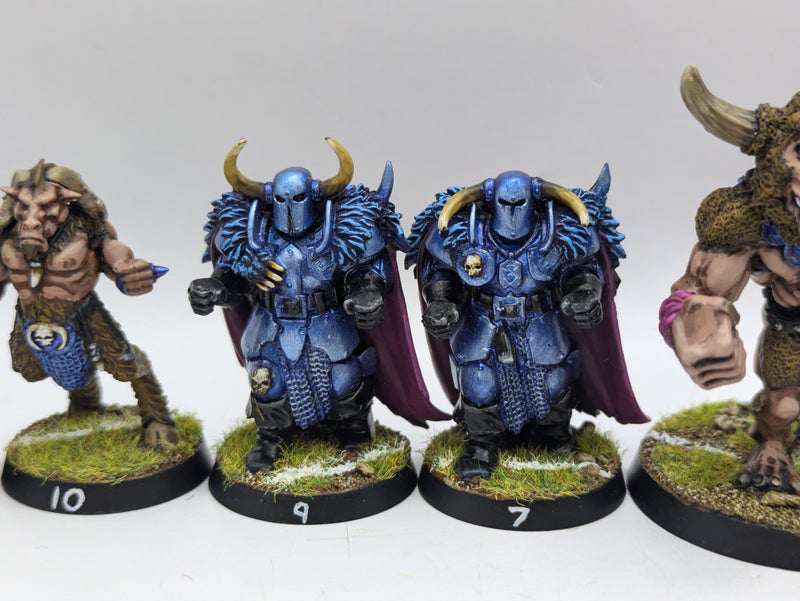 Warhammer Blood Bowl: Converted Chaos Chosen Team - Well Painted (AI109)