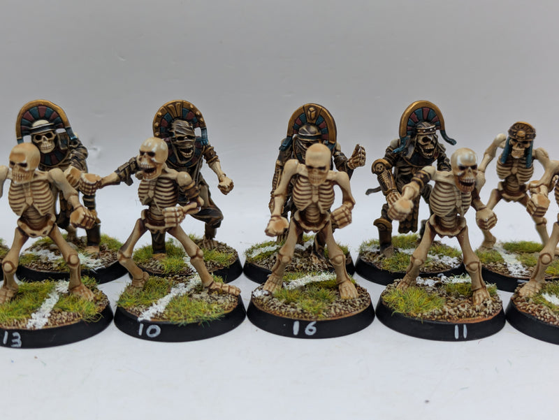 Warhammer Blood Bowl: Converted Tomb Kings Team - Well Painted (AD090)