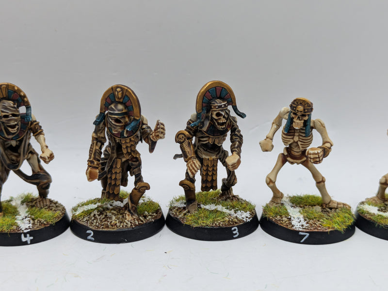 Warhammer Blood Bowl: Converted Tomb Kings Team - Well Painted (AD090)