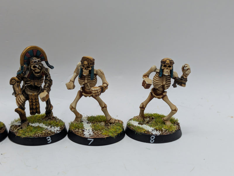 Warhammer Blood Bowl: Converted Tomb Kings Team - Well Painted (AD090)