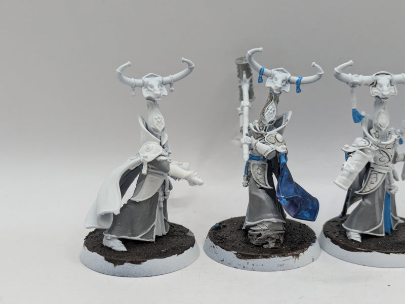 Warhammer Age of Sigmar: Lumineth Realm-Lords Alarith Stoneguard (AA040)