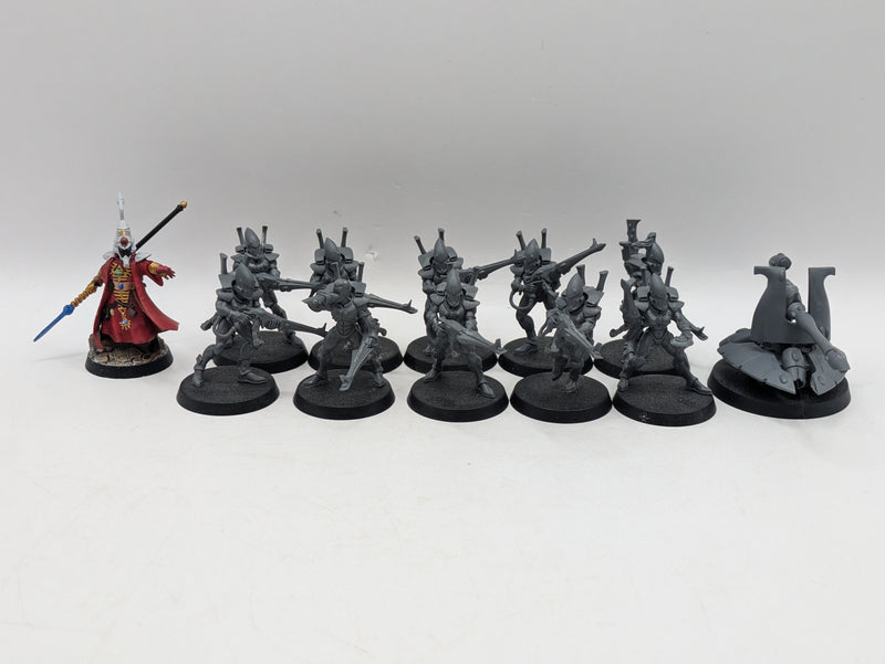 Warhammer 40k: Aeldari Guardians and Farseer (AI280)