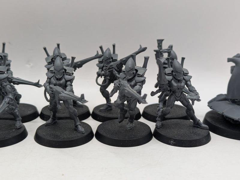 Warhammer 40k: Aeldari Guardians and Farseer (AI280)