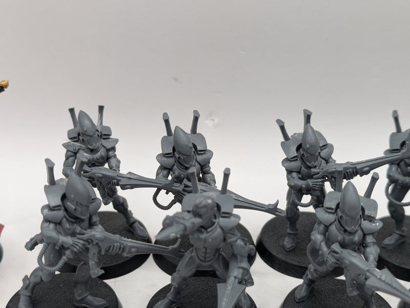 Warhammer 40k: Aeldari Guardians and Farseer (AI280)