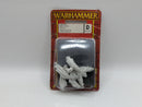 Warhammer The Old World: Vampire Counts Metal Spirit Hosts (AW196)