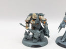 Warhammer 40k: Death Guard Chaos Lord and Nauseous Rotbone (AW205)