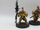 Warhammer 40k: Adeptus Custodes Custodian Guard (AI046)