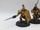 Warhammer 40k: Adeptus Custodes Custodian Guard (AA129)