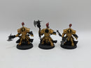 Warhammer 40k: Adeptus Custodes Allarus Terminators (AD072)