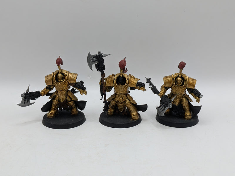 Warhammer 40k: Adeptus Custodes Allarus Terminators (AD072)