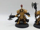 Warhammer 40k: Adeptus Custodes Allarus Terminators (AD072)