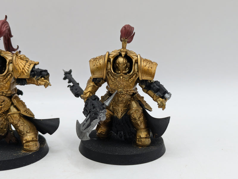 Warhammer 40k: Adeptus Custodes Allarus Terminators (AD072)