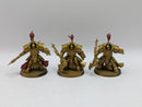 Warhammer 40k: Adeptus Custodes Allarus Terminators (AD077)