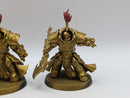 Warhammer 40k: Adeptus Custodes Allarus Terminators (AD077)
