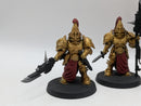 Warhammer 40k: Adeptus Custodes Wardens (BC035)
